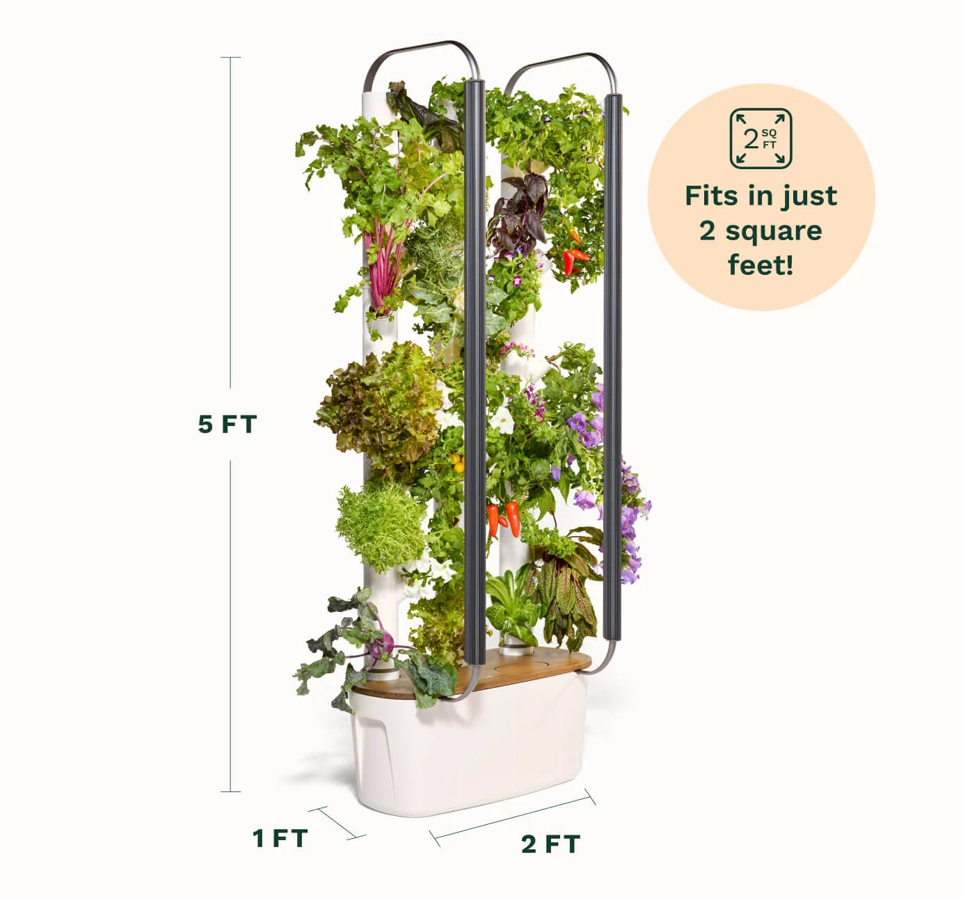 V2 (20 Plants System)