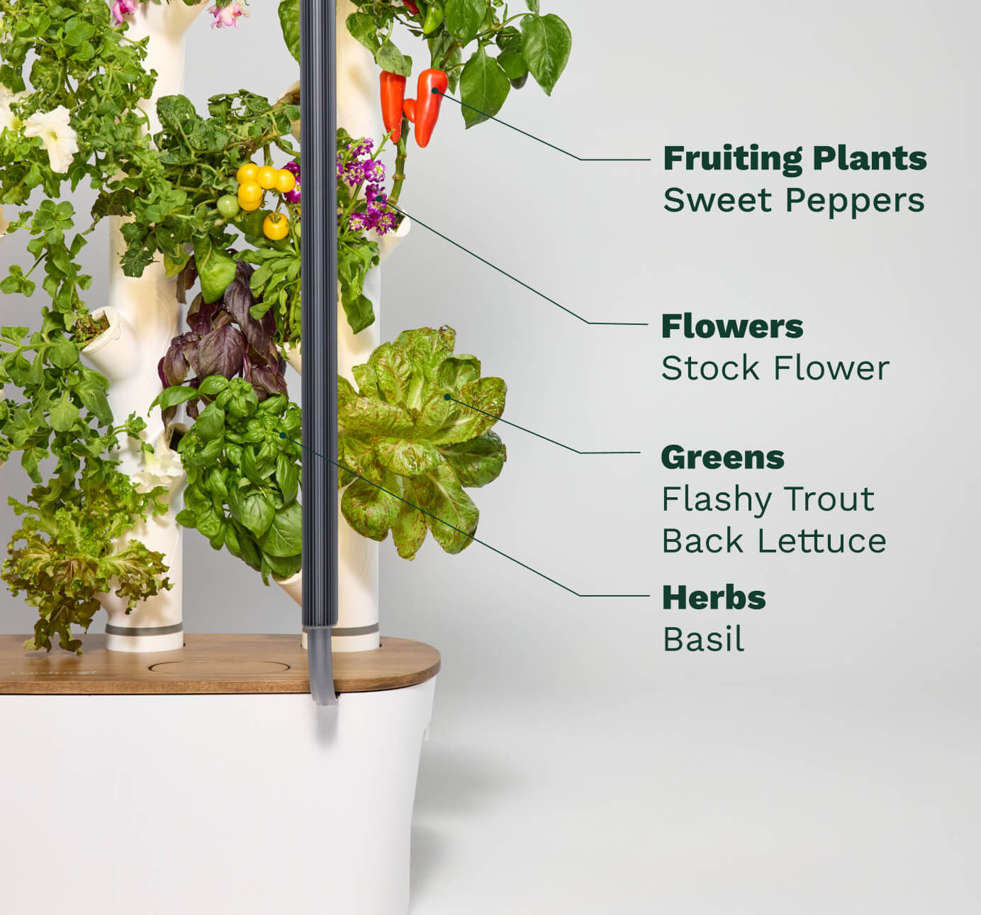 V2 (20 Plants System)